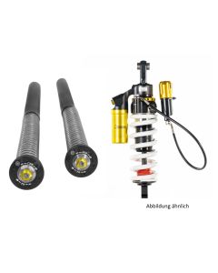 Touratech suspension set for BMW F900GS Extreme2 with Cartridge Extreme
